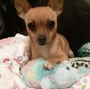 Meet your Posher, Lisa